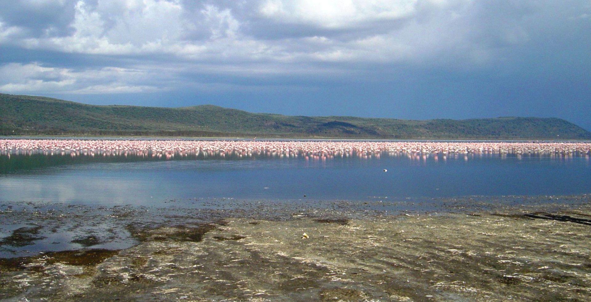 Nakuru