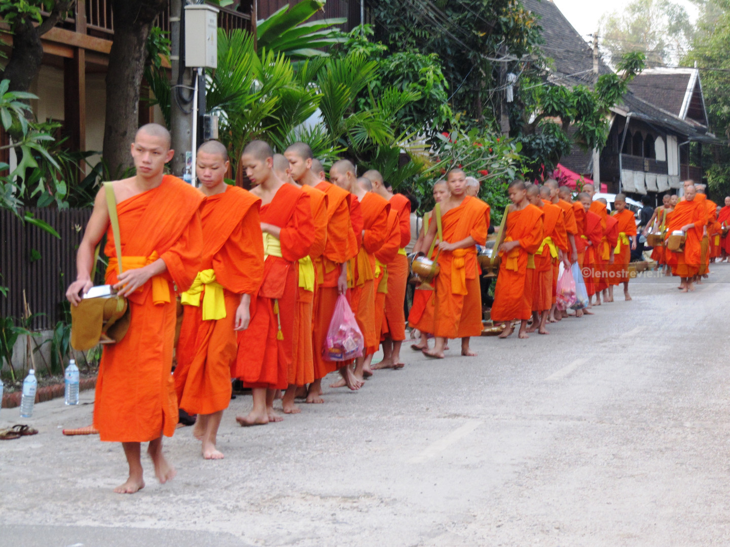 Luang Prabang cerimonia mattino