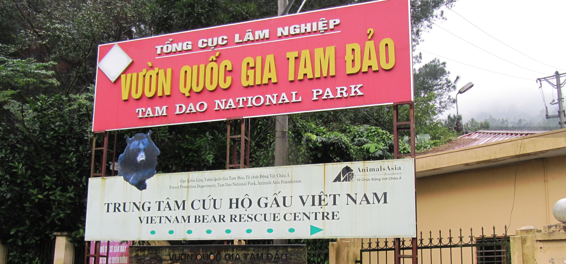 Tam Dao